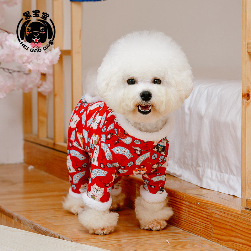 比熊日系和风冬季加绒裤泰迪