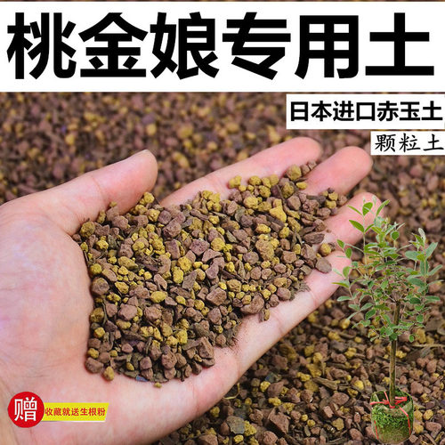桃金娘专用土赤玉土酸性土风化土