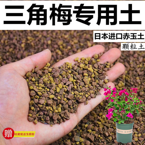 三角梅专用土赤玉土酸性颗粒风化土营养粒有机营养土盆栽土种植