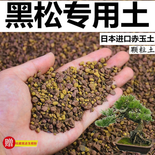 松树专用风化颗粒土酸性盆景种植