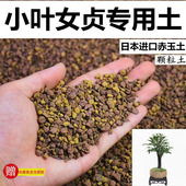 小叶女贞专用土赤玉土酸性颗粒土风化土营养粒营养土盆景土种植土