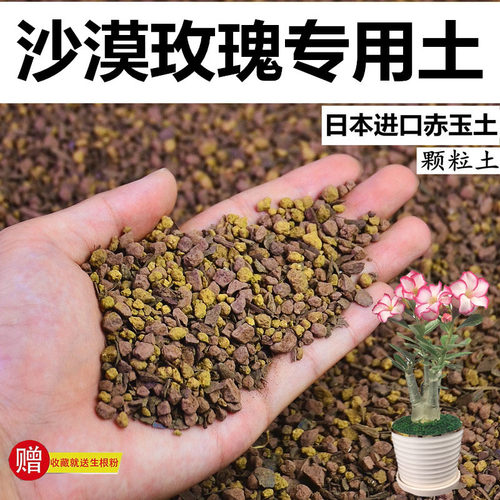 沙漠玫瑰专用土赤玉土酸性颗粒风化土孢菌营养粒有机营养盆栽种植