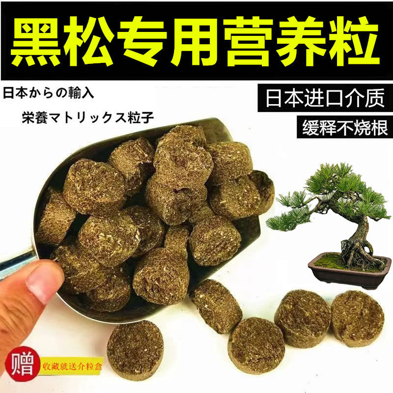 黑松专用营养粒盆景专用日本进口颗粒天然发酵有机长效缓释介质,鲜花速递/花卉仿真/绿植园艺,家庭园艺肥料,淘宝优惠券,粉丝福利购,淘宝优惠卷