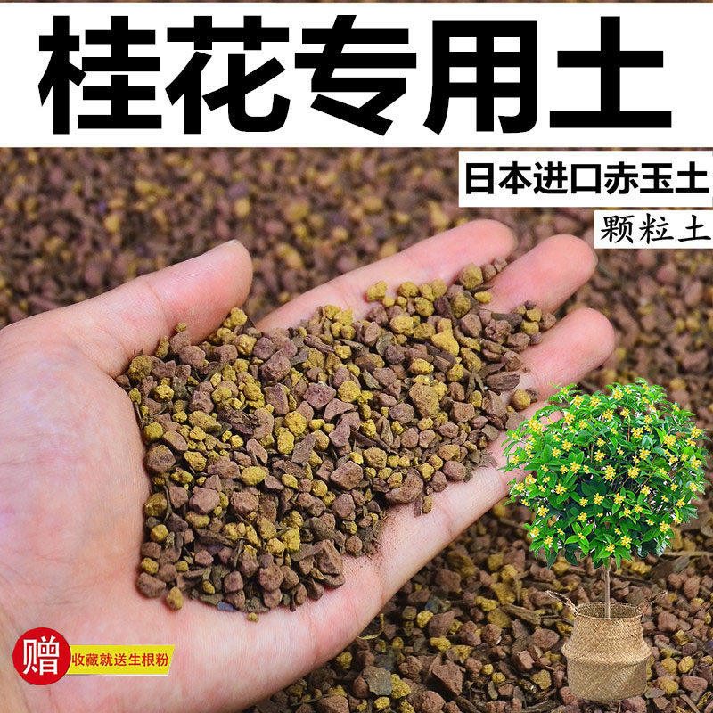 桂花专用土赤玉土酸性颗粒土风化土孢菌营养粒盆栽有机营养种植土图片