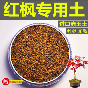红枫专用土枫树盆栽赤玉土风化颗粒土营养粒酸性红土营养种植土
