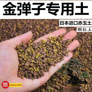 金弹子专用土赤玉酸性土颗粒风化土营养粒有机营养土盆景土种植土