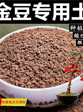 金豆专用土风化土腐熟松鳞土赤玉土盆景土颗粒土酸性土金桔种植土
