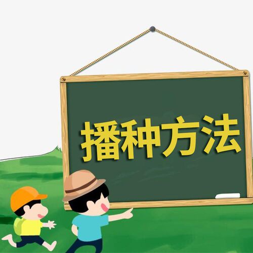 种子播种视频教程免费