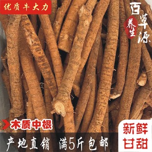 野生牛大力木质中根鲜条500g新鲜牛根茎泡酒煲汤料金钟根 包邮
