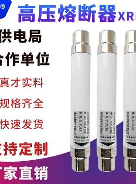 高压熔断器XRNT-10KV/10A20A40SDLAJ-12KV高压保险管熔断丝管器芯