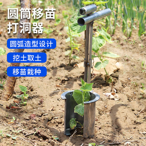 苍强移苗器育苗打洞移栽起苗器