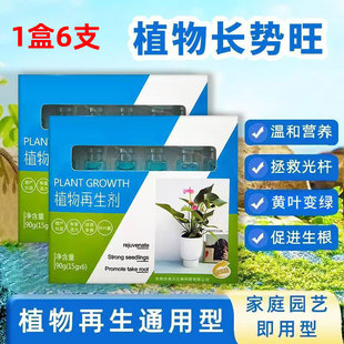 素水溶肥料盒装 植物再生剂中量元 6支养花绿植盆栽促进生长营养液