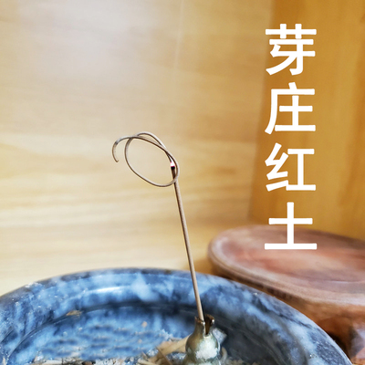 芽庄红土沉香线香10克装