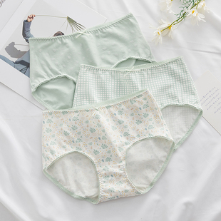 3条价蝶安芬内裤 头 女中高腰包臀棉质可爱甜美透气裤