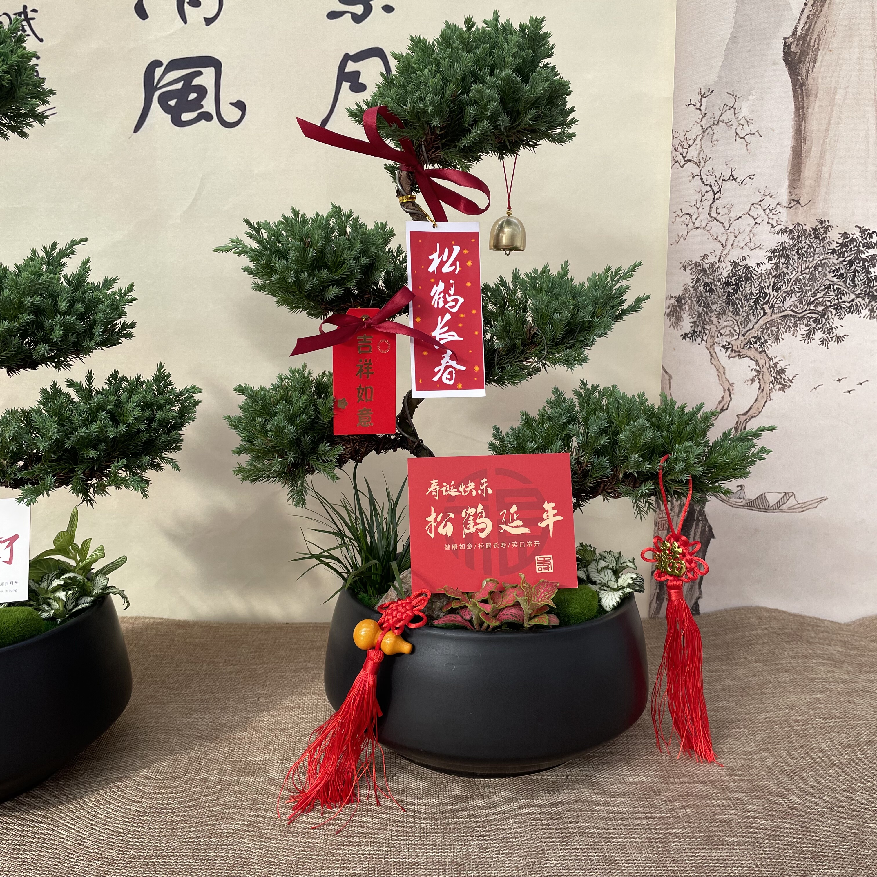 送长辈乔迁礼物青松绿植退休礼