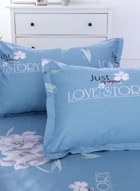 100全棉枕套一对装48cmx74cm纯棉单人枕头套罩2025新款枕芯内胆套