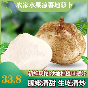 湖北特产白地瓜洋地瓜可生吃的蔬菜沙果甜薯凉薯沙葛现挖5斤包邮