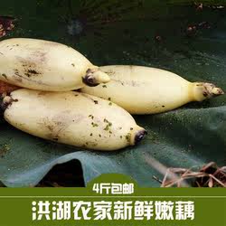 洪湖红花藕4斤生吃凉拌嫩莲藕脆嫩清甜当日现挖湖北新鲜莲藕带泥