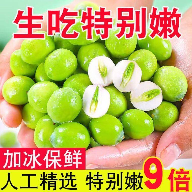 洪湖鲜莲子嫩莲蓬米现摘当季生吃鲜莲子孕妇水果蔬菜嫩手剥莲蓬米
