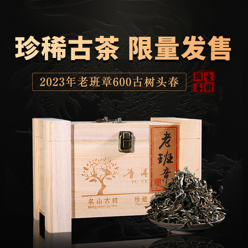 2023年老班章古树头春普洱茶生茶