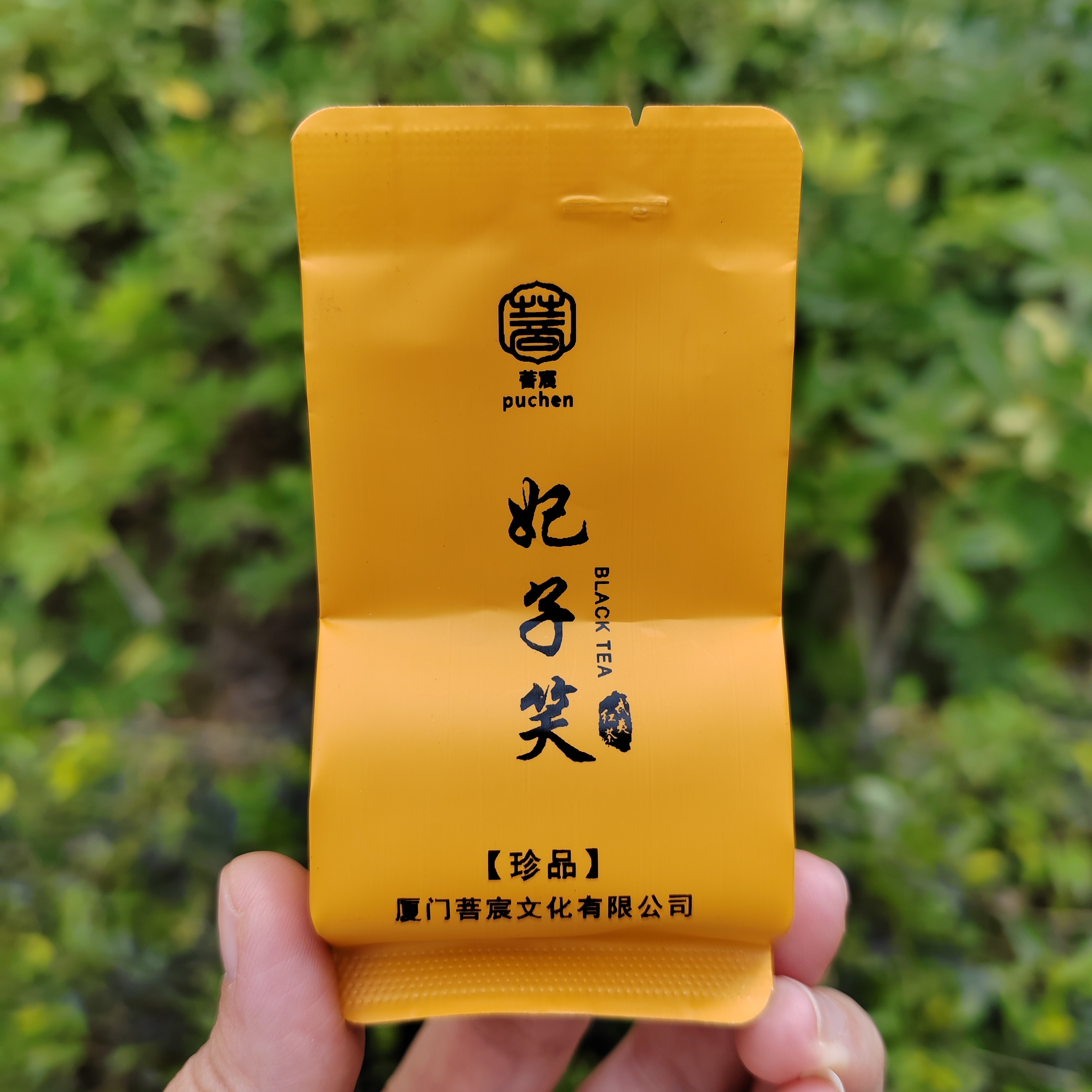武夷山桐木关红茶妃子笑自饮品鉴