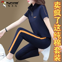 Тибетский Цин (стоящий воротник)