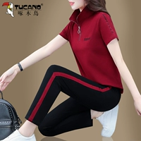 Jujube (стоящий воротник)