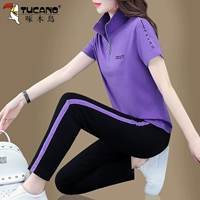 Фиолетовый (стоящий воротник)