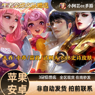 王者荣耀皮肤大乔猫狗日记乔缤纷独角兽嬴政摇滚武则天东方不