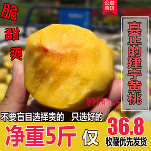 正宗福建三明建宁黄桃当季新鲜桃子水果5斤红心脆甜黄桃现摘现发