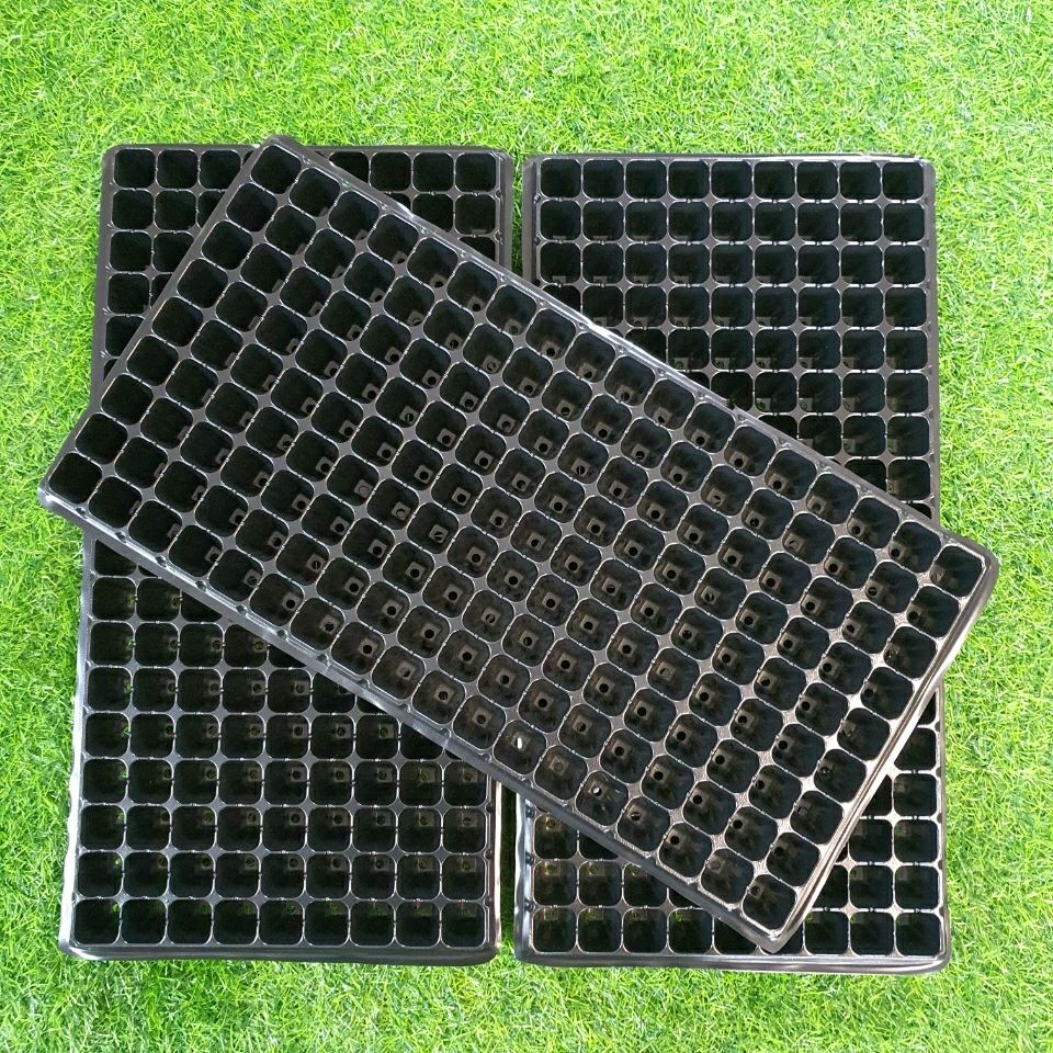 育苗穴盘162孔国标育苗盘辣椒 芹菜蔬菜通用型苗盘加厚耐折韧性强