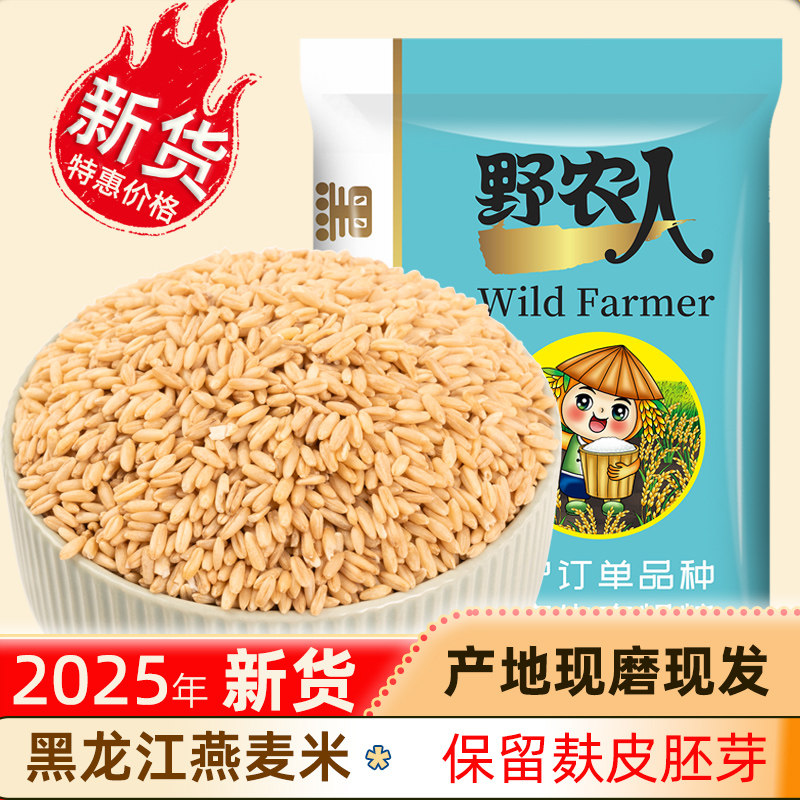 2025年新燕麦米东北五谷杂粮燕麦