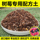 树莓专用土营养土覆盆子果苗盆栽地栽种植土微酸土壤有机肥料 包邮