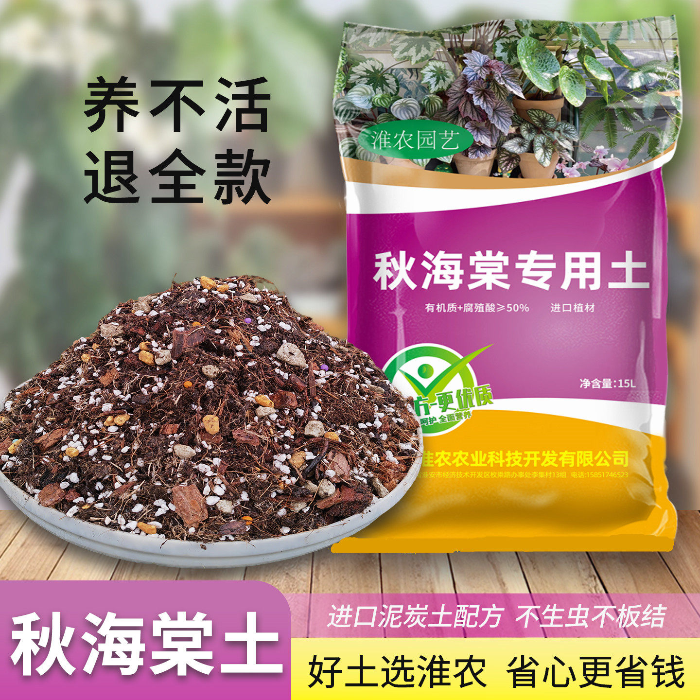 秋海棠专用土不积水不烂根无虫害图片