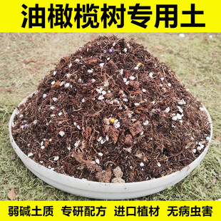 油橄榄树专用土弱碱性营养土壤盆栽种植土进口泥炭土肥料疏松透气