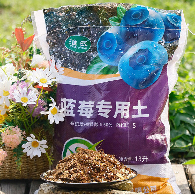 蓝莓配方土进口泥炭无病虫害