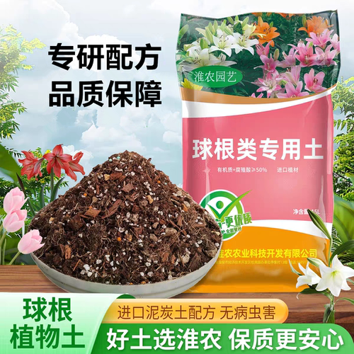 朱顶红百合风信子郁金香专用土