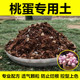 桃蛋专用土景天科多肉通用营养土进口泥炭颗粒土生根快控型上色好