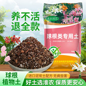 球根植物专用土朱顶红郁金香百合风信子种球通用营养土泥炭土肥料