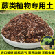 蕨类植物专用土铁线蕨鳞毛蕨狗脊蕨波斯顿蕨通用营养土盆栽种植土
