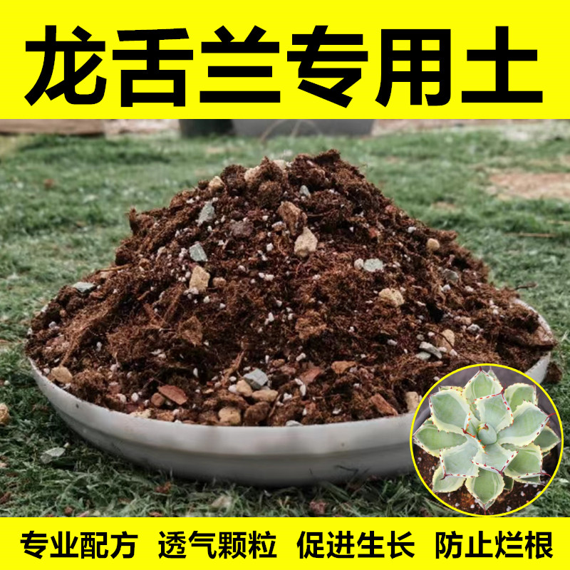龙舌兰专用土透气性好生根快
