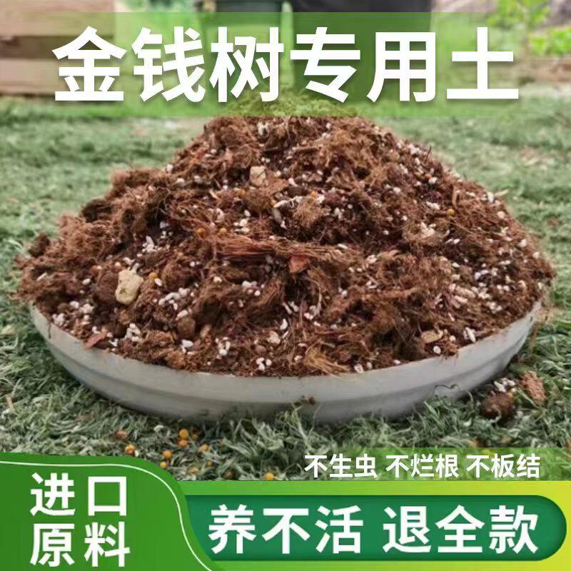 金钱树专用土室内盆栽种植土通用型营养土有机肥料弱酸性土壤包邮怎么样,好用不?