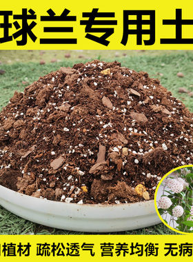 球兰专用营养土进口植材无病虫害