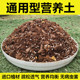 通用型营养土养花种菜种树土果树盆栽种植土壤进口泥炭土肥料 包邮