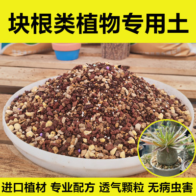 龟甲龙麒麟龙舌兰等块根类专用土