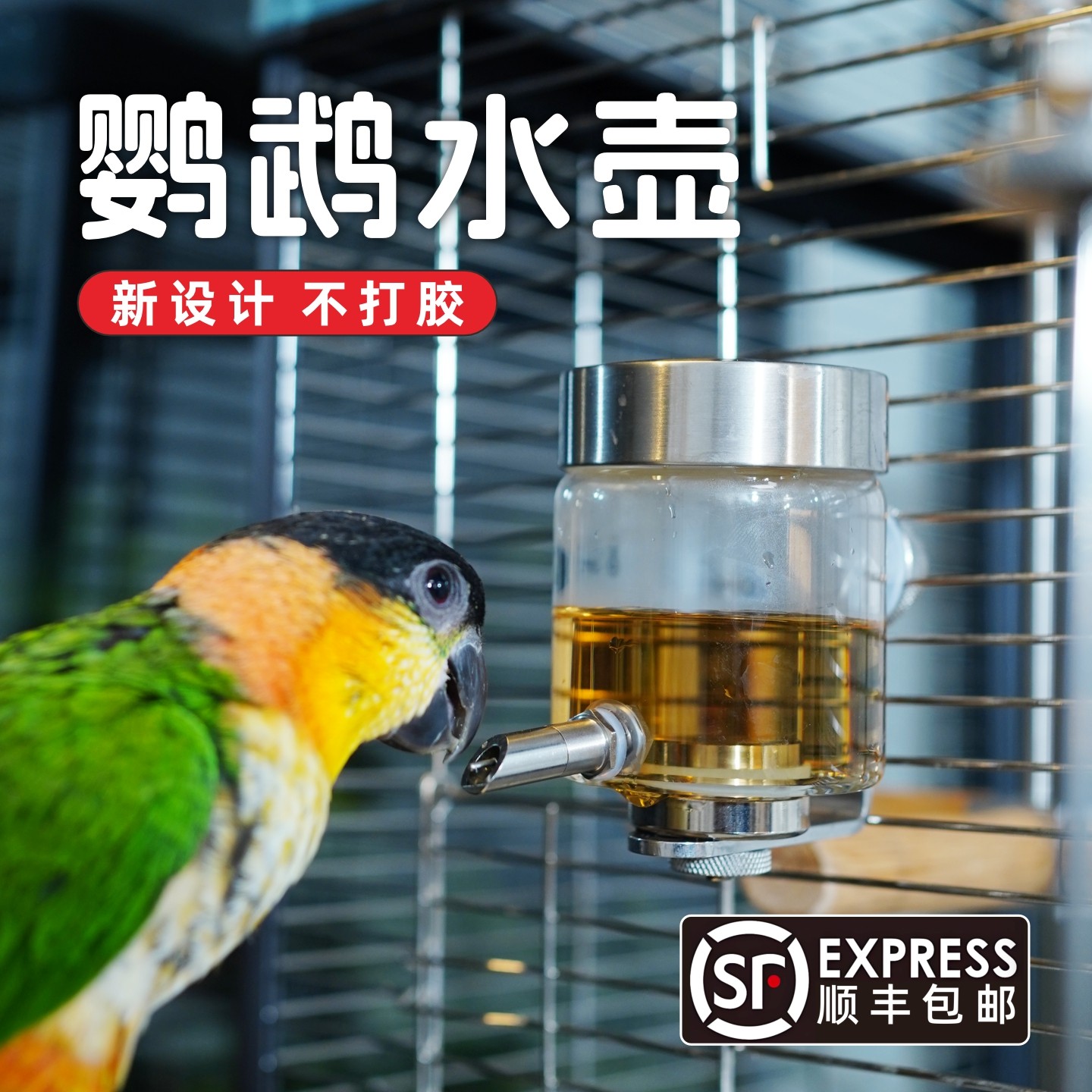 新款鹦鹉撞针水壶玻璃瓶小鸟用自动饮水器磁吸喝水器宠物喂水神器