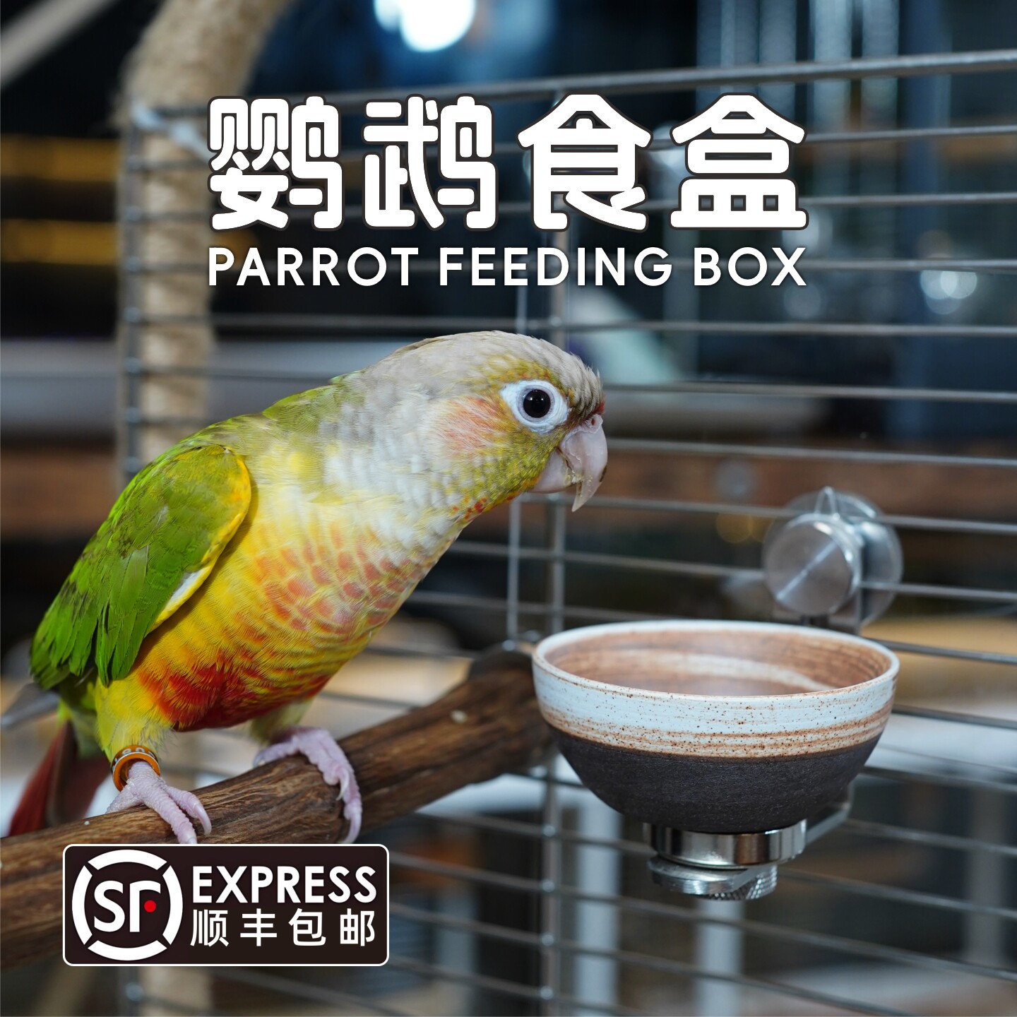 鹦鹉食盒陶瓷碗防溅鸟食罐防翻喝水碗鸟笼内挂食碗防撒小鸟喂食器