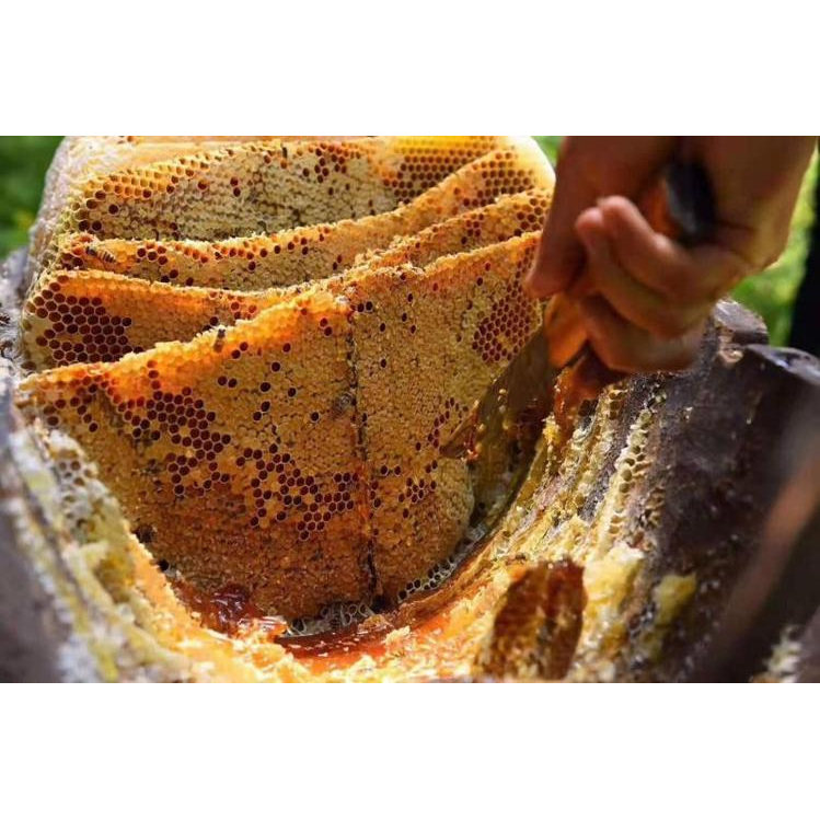 纯正天然老巢蜜