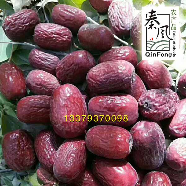 2019年新枣,树上干灰枣,若羌枣原枣!带灰的灰枣现在开是团购