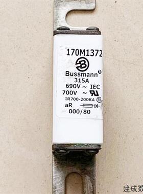 议价170M1372 BUSSMANN 315A 690V-700V保险丝快熔断器拆机3NE873